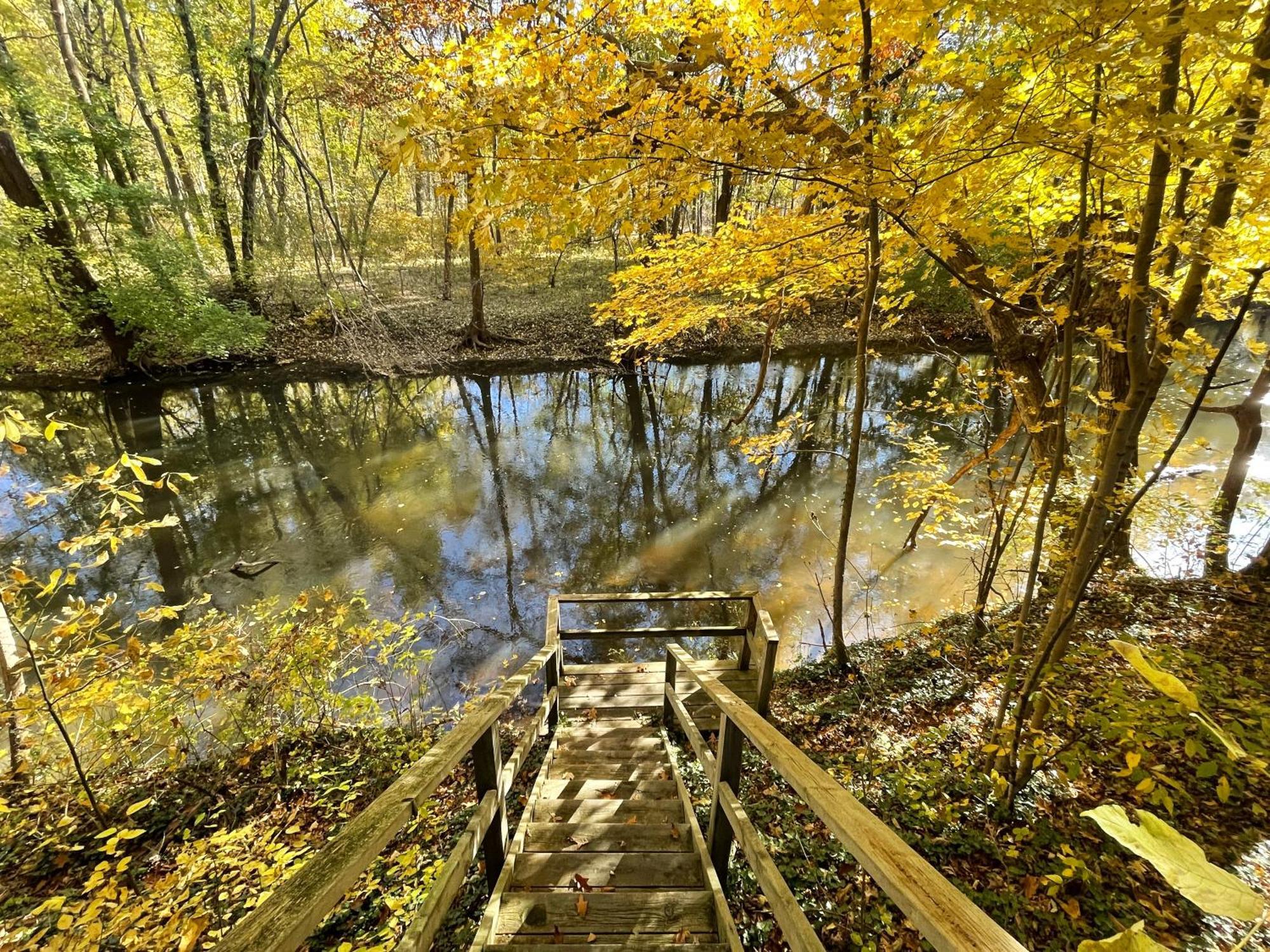 Goldberry Woods- A Modern Farm Resort Union Pier Eksteriør bilde